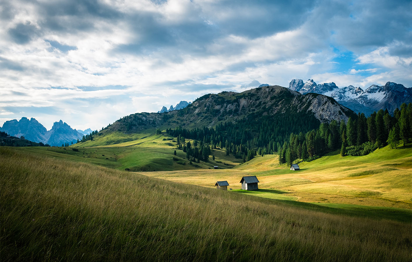 Dolomites - Pasture