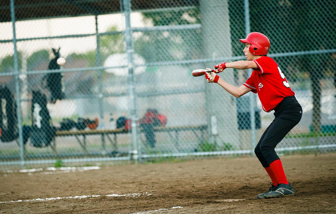 Baseball mineur - Photographe de sport