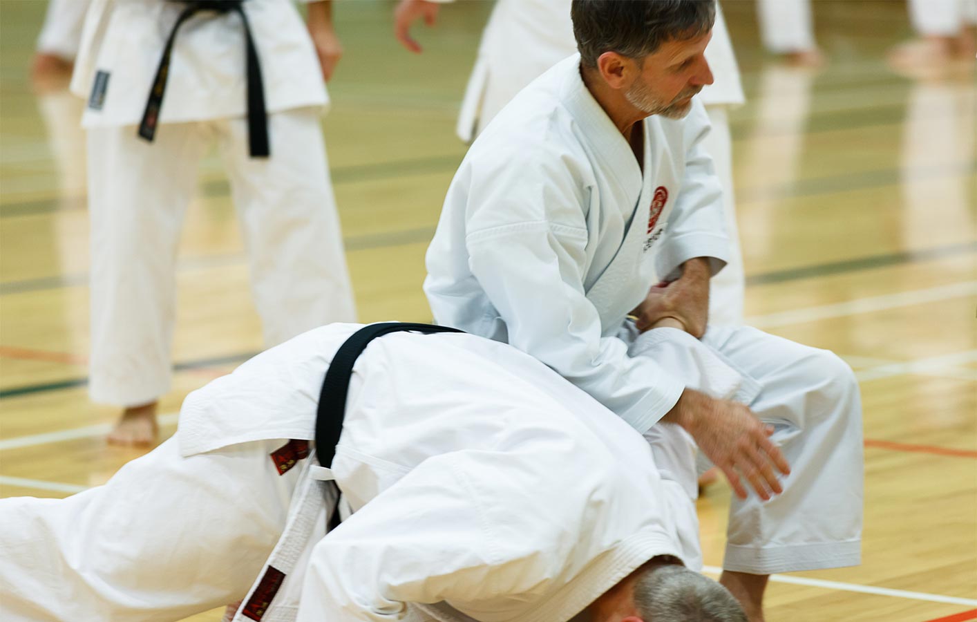 Shotokan kangeiko - Photographe de sport